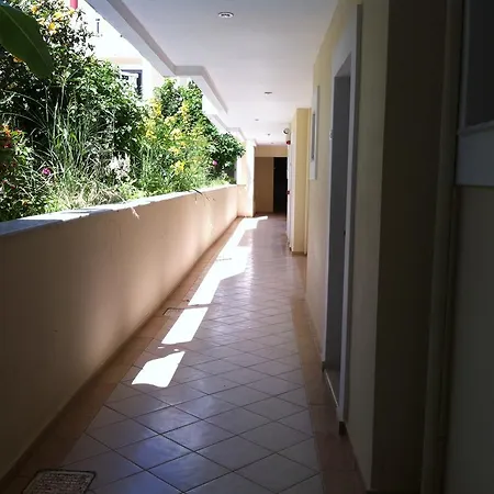 Olgas Paradise