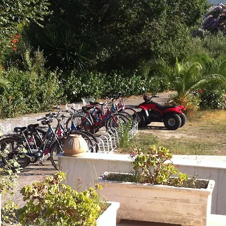 Olgas Paradise Aparthotel 3*