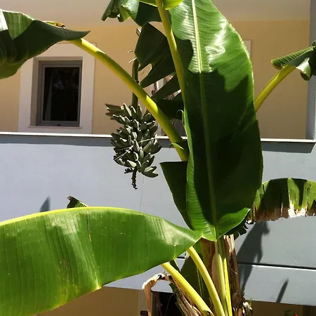 Hotel apartamentowy Olgas Paradise 3*