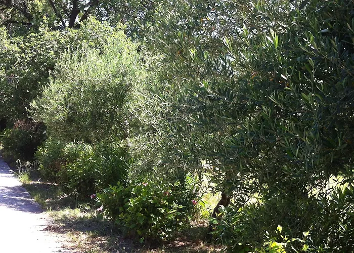 Olgas Paradise 3* Psalidi (Kos)