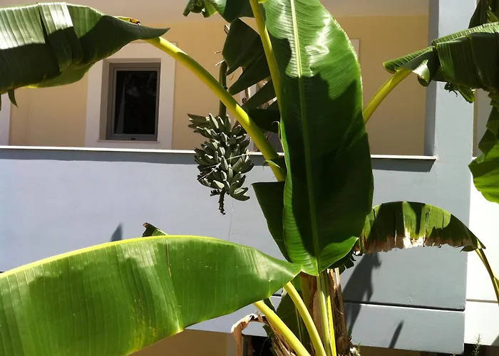 Apart-hotel Olgas Paradise 3*