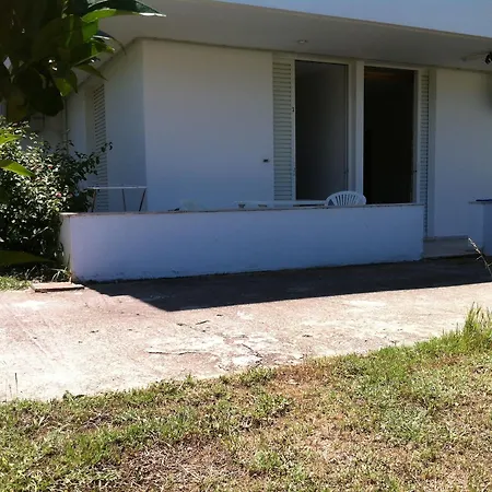 Olgas Paradise 살리디