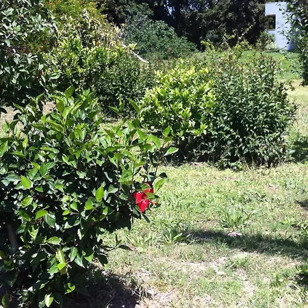 아파트호텔 Olgas Paradise