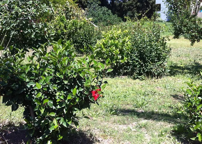 Hotel apartamentowy Olgas Paradise